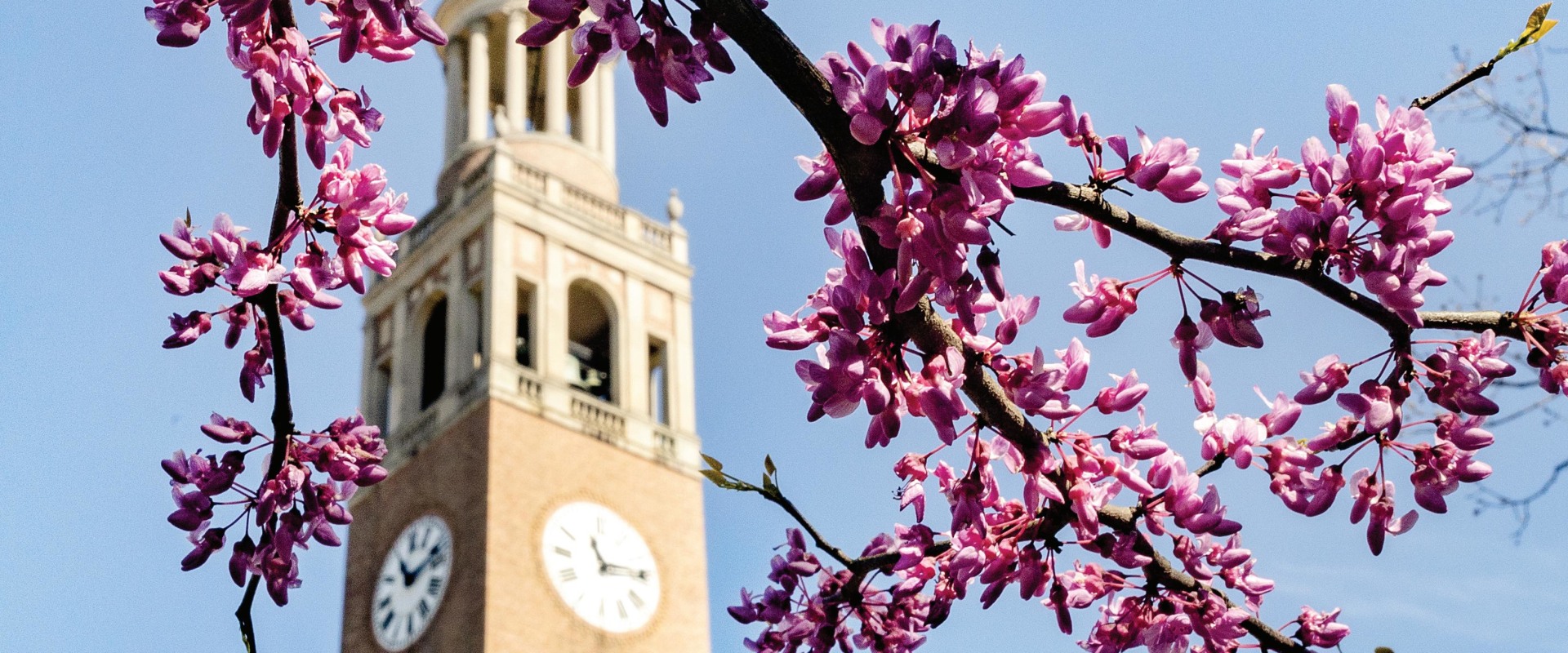 Measuring the Impact and Success of Charitable Foundations in Williamson County, TX