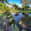 Raising Awareness for Charitable Foundations in Williamson County, TX