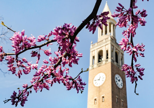 Measuring the Impact and Success of Charitable Foundations in Williamson County, TX